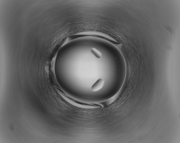 X0000115800720200911131359
