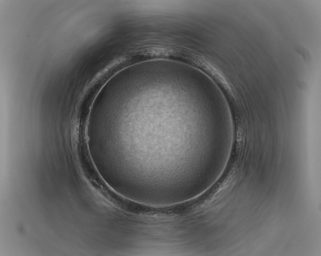 X0000115800722200911131358