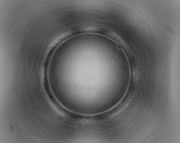 X0000115800725200911131359