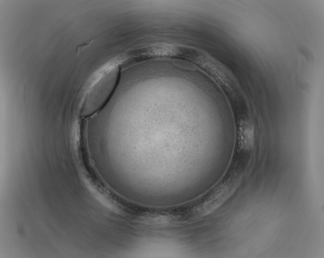 X0000115800726200911131359