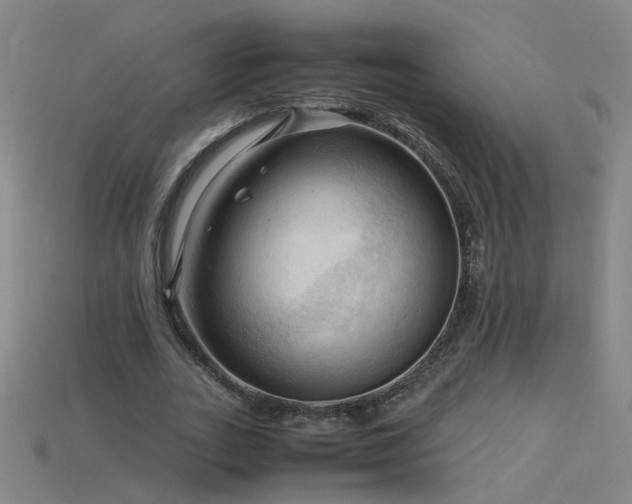 X0000115800727200911131359