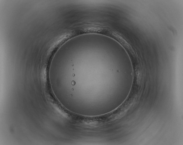 X0000115800729200911131359
