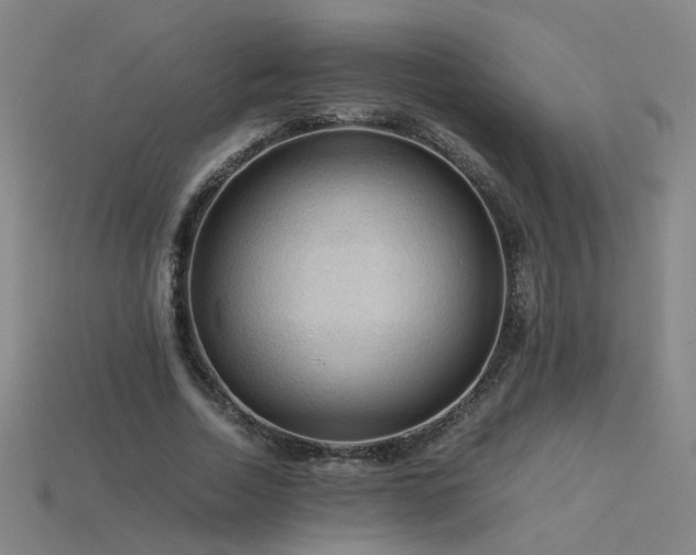 X0000115800730200911131359