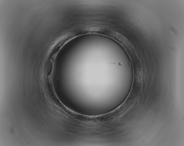 X0000115800731200911131359