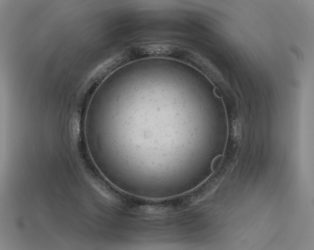 X0000115800733200911131359