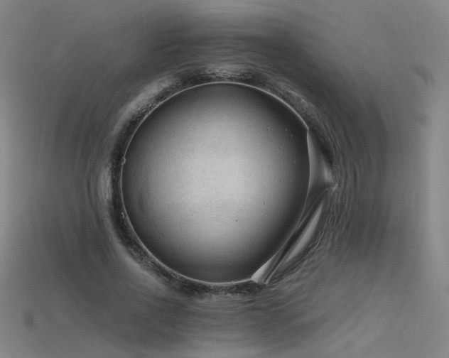 X0000115800734200911131359