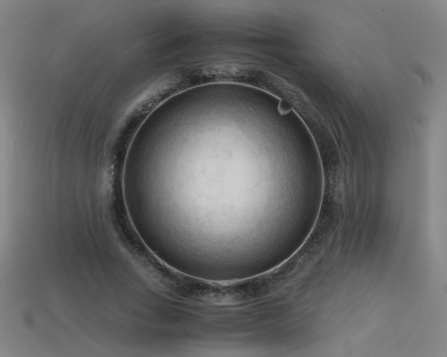 X0000115800735200911131359