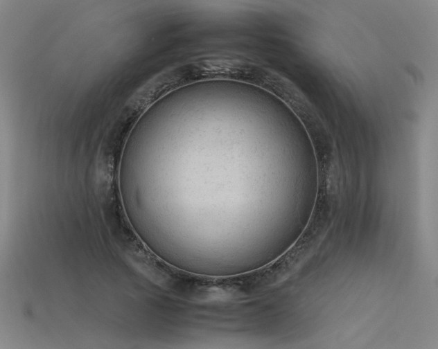 X0000115800737200911131359
