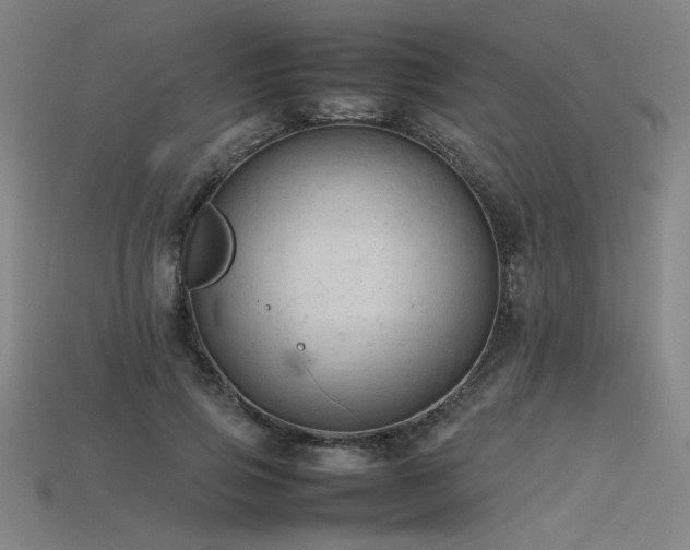 X0000115800741200911131359
