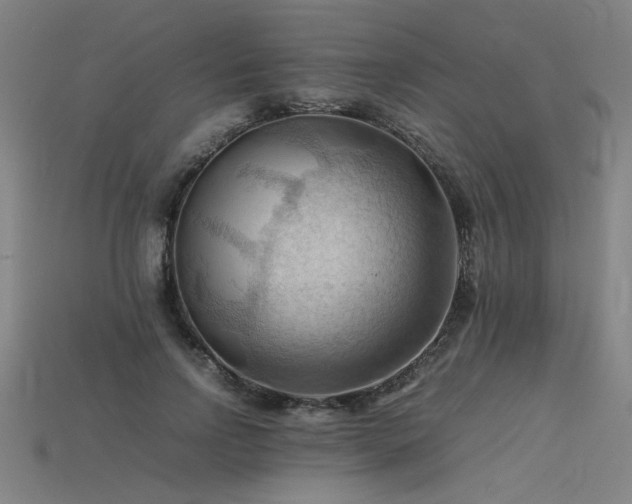 X0000115800742200911131359