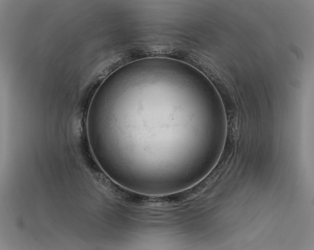 X0000115800746200911131359