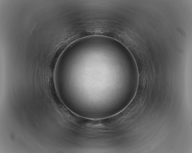 X0000115800747200911131359
