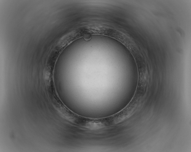 X0000115800749200911131359