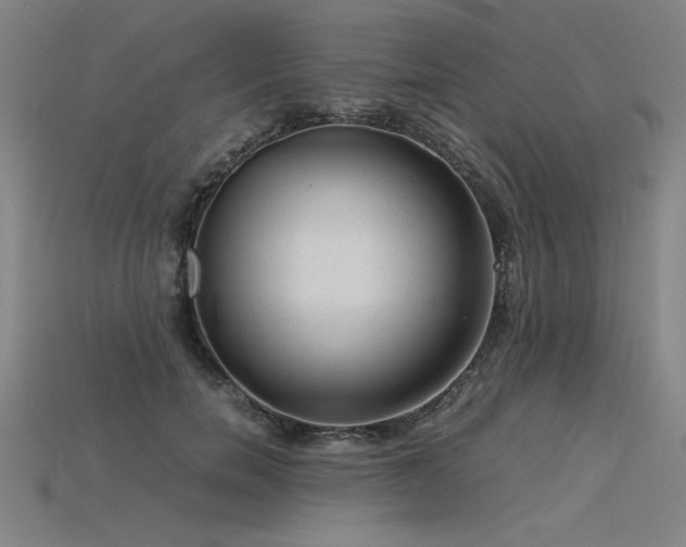 X0000115800750200911131359