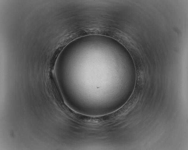 X0000115800751200911131359