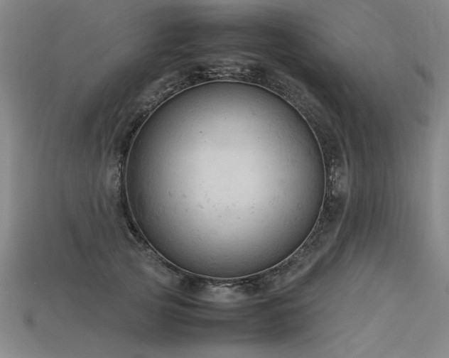 X0000115800753200911131359