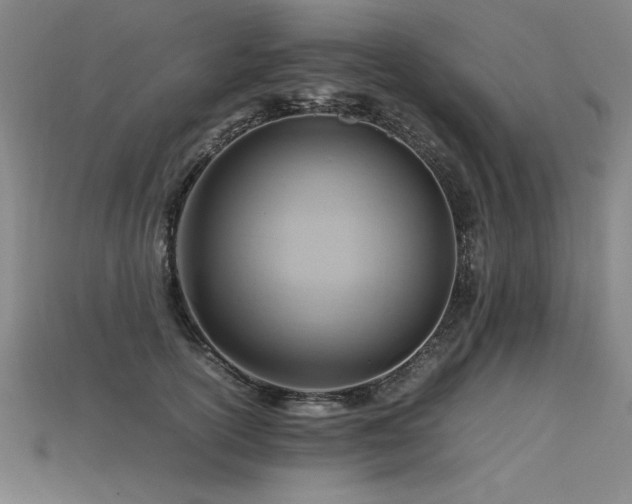 X0000115800754200911131359