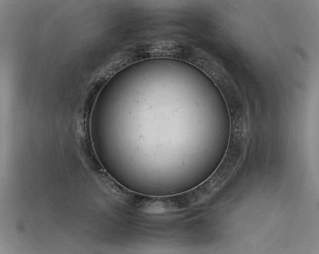 X0000115800755200911131359