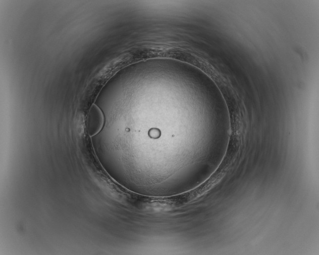X0000115800758200911131359