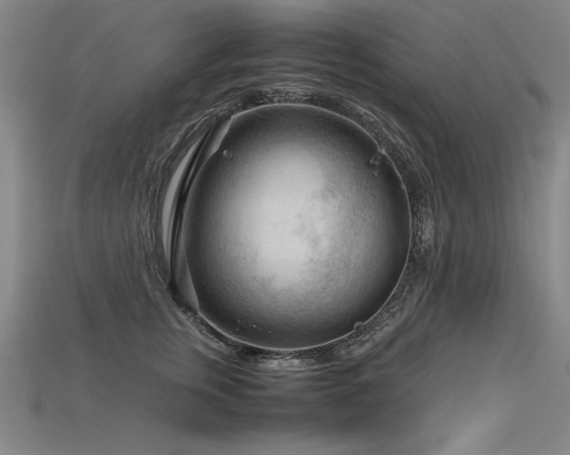 X0000115800759200911131359