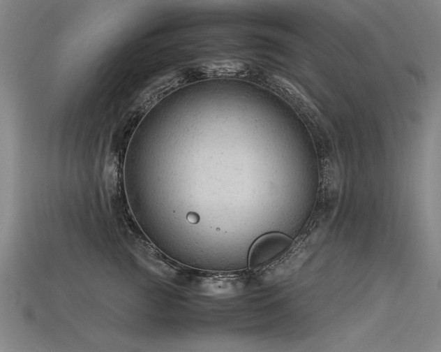 X0000115800761200911131359