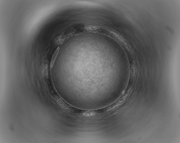 X0000115800762200911131359