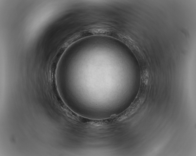 X0000115800763200911131359