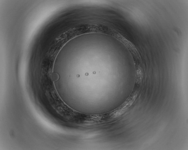 X0000115800765200911131359