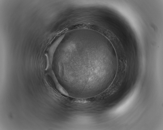 X0000115800767200911131359