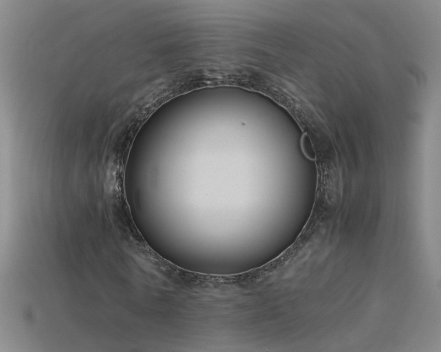 X0000115800770200911131358