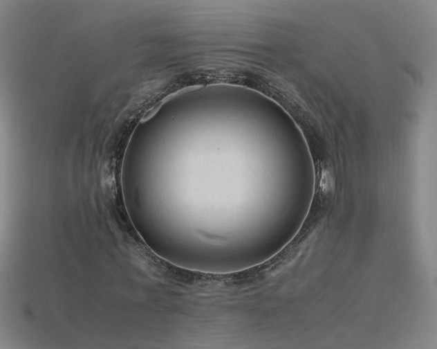 X0000115800771200911131358