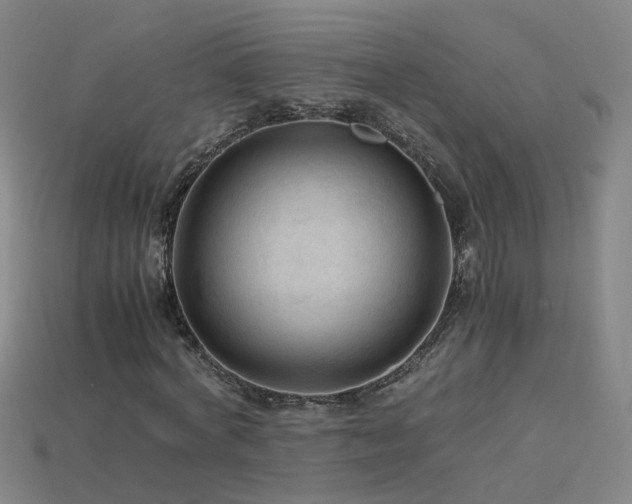 X0000115800772200911131358