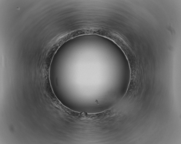 X0000115800773200911131358