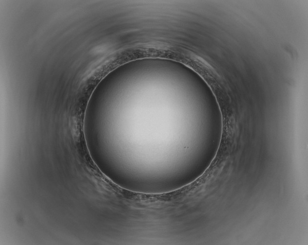 X0000115800774200911131358