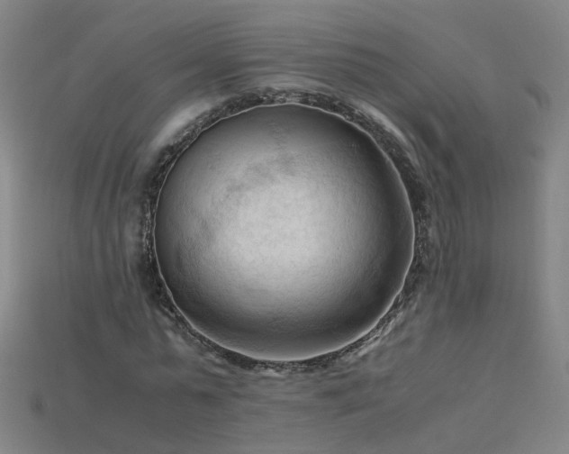 X0000115800775200911131358