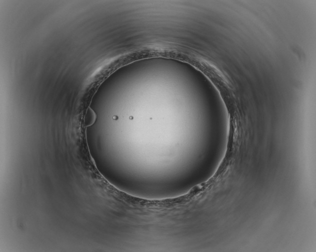 X0000115800776200911131358