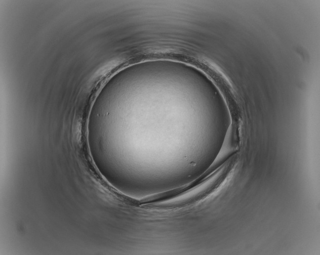 X0000115800777200911131358