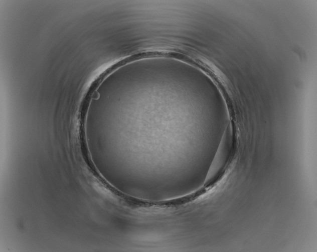 X0000115800779200911131358