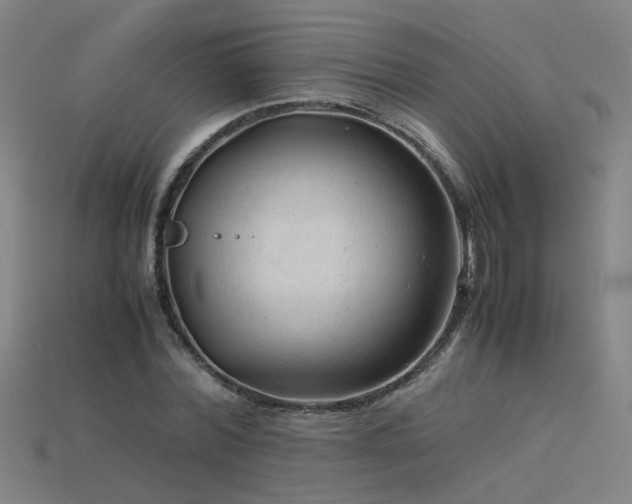 X0000115800780200911131358