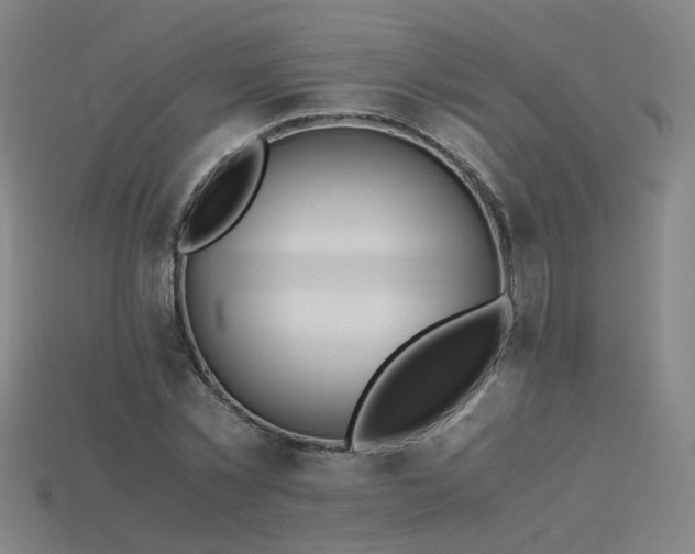 X0000115800781200911131358