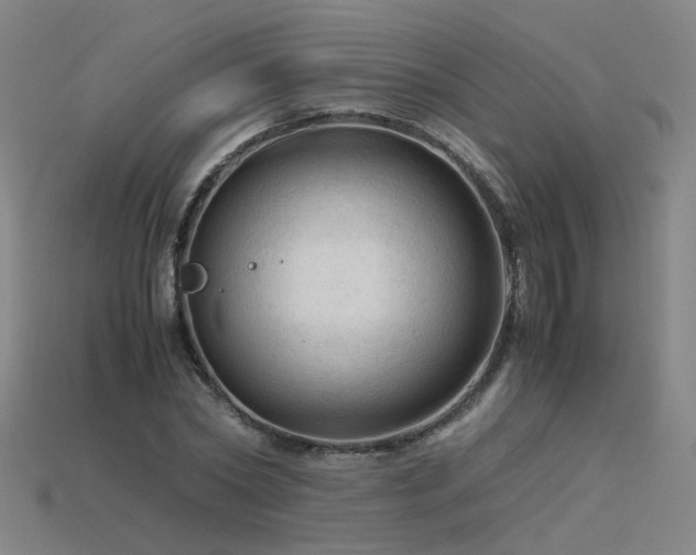 X0000115800782200911131358