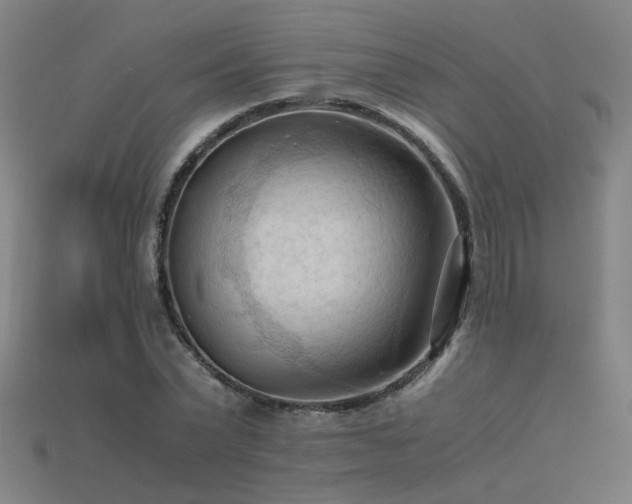 X0000115800783200911131358