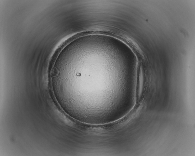 X0000115800784200911131358