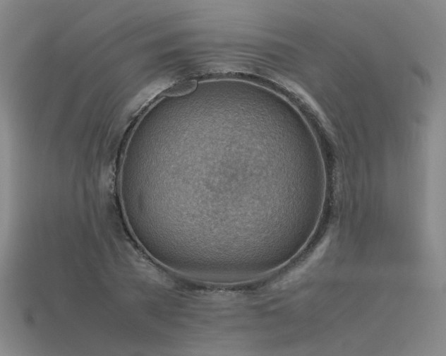 X0000115800785200911131358