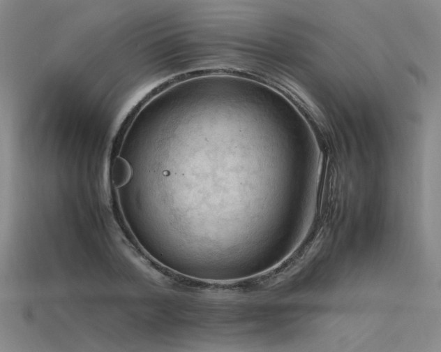 X0000115800788200911131358