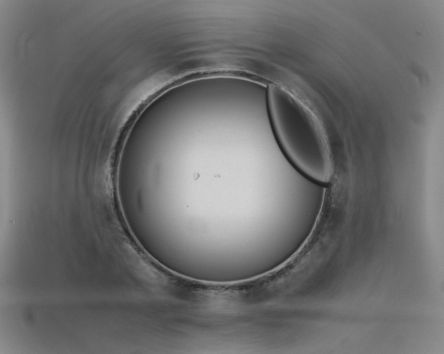 X0000115800789200911131358