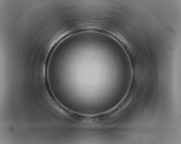 X0000115800790200911131358