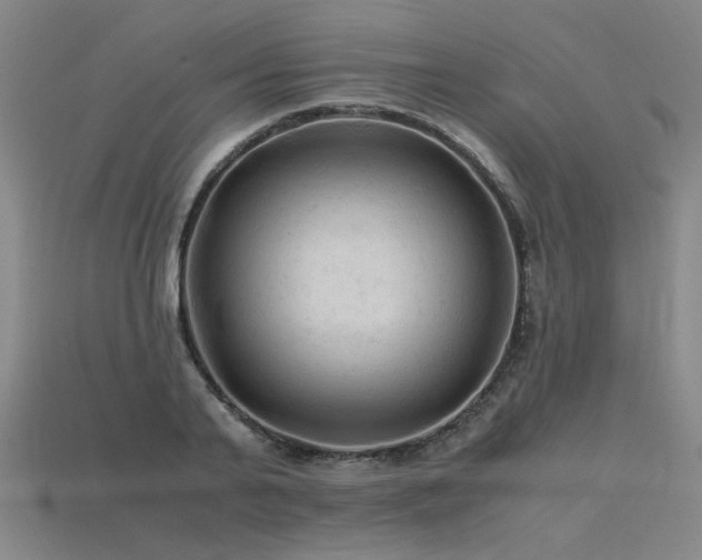X0000115800791200911131358