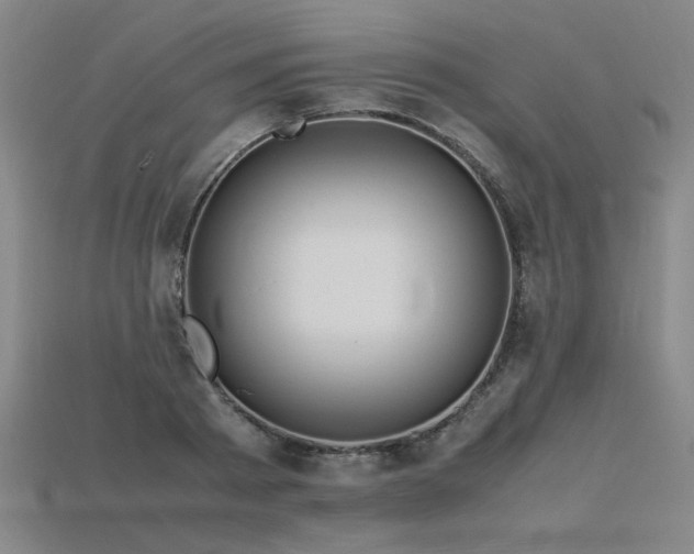 X0000115800793200911131358