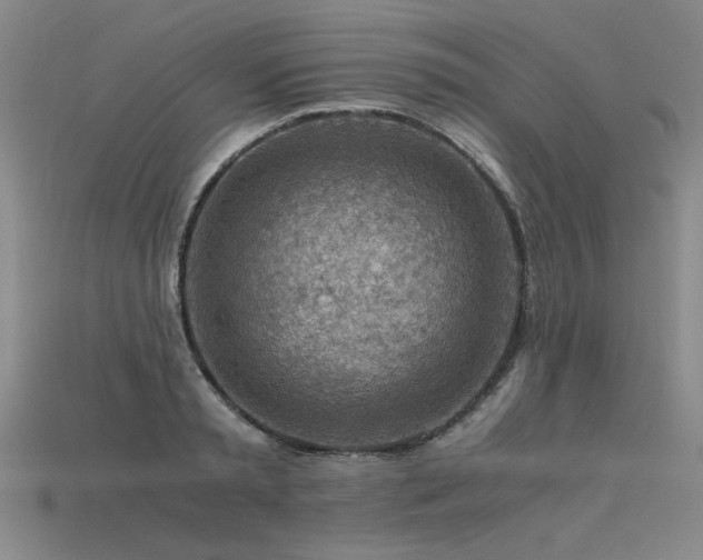X0000115800797200911131358